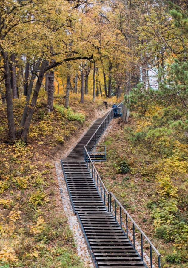 Žygiai Verkiuose — Žygis Verkių parke